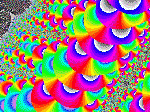 petals.jpg